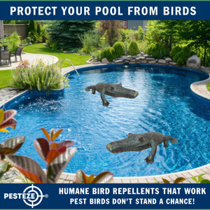 PESTEZE® 49 Inch Realistic Inflatable Alligator [1 Pack] Scares Pest Birds like Woodpeckers, Sparrows, Pigeons, Crows, Gulls & Critters from Pools & Yards without Harming them to Protect Property