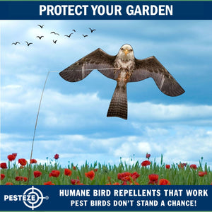 PESTEZE® MULTI-COLORED Flying Eagle 4 54 x 30 Inch Kite Bird Deterrent with 13 ft Flagpole. Use in Yards & Farms to Protect Vegetables, Fruits & Crops from Pest Birds & Critters without Harming them