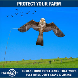 PESTEZE® MULTI-COLORED Flying Eagle 4 54 x 30 Inch Kite Bird Deterrent with 13 ft Flagpole. Use in Yards & Farms to Protect Vegetables, Fruits & Crops from Pest Birds & Critters without Harming them