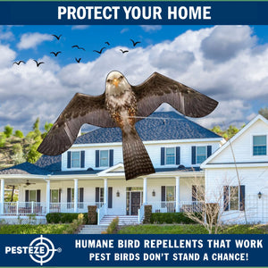 PESTEZE® MULTI-COLORED Flying Eagle 4 54 x 30 Inch Kite Bird Deterrent with 13 ft Flagpole. Use in Yards & Farms to Protect Vegetables, Fruits & Crops from Pest Birds & Critters without Harming them