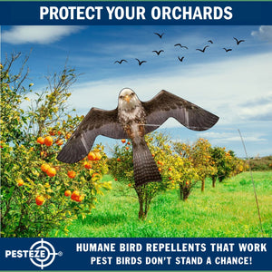 PESTEZE® MULTI-COLORED Flying Eagle 4 54 x 30 Inch Kite Bird Deterrent with 13 ft Flagpole. Use in Yards & Farms to Protect Vegetables, Fruits & Crops from Pest Birds & Critters without Harming them
