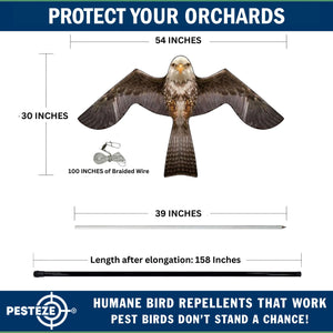PESTEZE® MULTI-COLORED Flying Eagle 4 54 x 30 Inch Kite Bird Deterrent with 13 ft Flagpole. Use in Yards & Farms to Protect Vegetables, Fruits & Crops from Pest Birds & Critters without Harming them