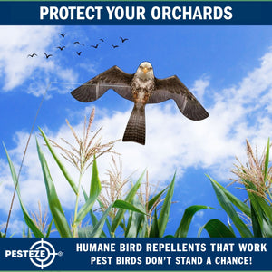 PESTEZE® MULTI-COLORED Flying Eagle 4 54 x 30 Inch Kite Bird Deterrent with 13 ft Flagpole. Use in Yards & Farms to Protect Vegetables, Fruits & Crops from Pest Birds & Critters without Harming them