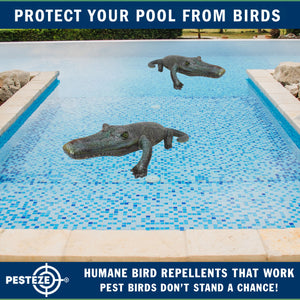 PESTEZE® 49 Inch Realistic Inflatable Alligator [1 Pack] Scares Pest Birds like Woodpeckers, Sparrows, Pigeons, Crows, Gulls & Critters from Pools & Yards without Harming them to Protect Property