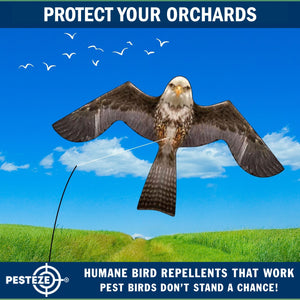 PESTEZE® MULTI-COLORED Flying Eagle 4 54 x 30 Inch Kite Bird Deterrent with 13 ft Flagpole. Use in Yards & Farms to Protect Vegetables, Fruits & Crops from Pest Birds & Critters without Harming them