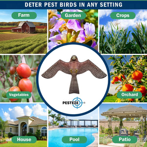PESTEZE® Flying Hawk 54 x 30 Inch Kite Bird Scarer with 13 ft Flagpole. Use in Yards & Farms to Protect Vegetables, Fruits, Crops & Buildings from Pest Birds & Critters without Harming them