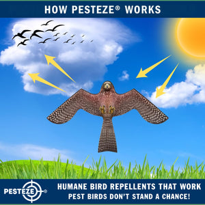 PESTEZE® Flying Hawk 54 x 30 Inch Kite Bird Scarer with 13 ft Flagpole. Use in Yards & Farms to Protect Vegetables, Fruits, Crops & Buildings from Pest Birds & Critters without Harming them