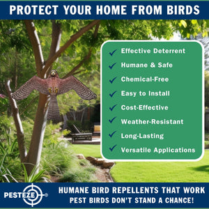 PESTEZE® Flying Hawk 54 x 30 Inch Kite Bird Scarer with 13 ft Flagpole. Use in Yards & Farms to Protect Vegetables, Fruits, Crops & Buildings from Pest Birds & Critters without Harming them
