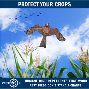 PESTEZE® Flying Hawk 54 x 30 Inch Kite Bird Scarer with 13 ft Flagpole. Use in Yards & Farms to Protect Vegetables, Fruits, Crops & Buildings from Pest Birds & Critters without Harming them