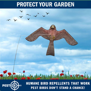 PESTEZE® Flying Hawk 54 x 30 Inch Kite Bird Scarer with 13 ft Flagpole. Use in Yards & Farms to Protect Vegetables, Fruits, Crops & Buildings from Pest Birds & Critters without Harming them