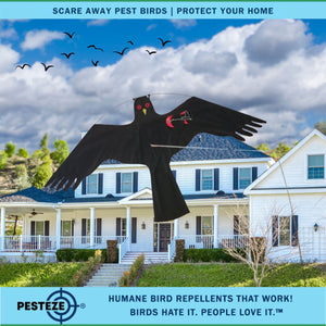 PESTEZE® Black Flying Hawk 46 x 26 Inch Kite Bird Deterrent with 13 ft Flagpole. Use in Yards & Farms to Protect Vegetables, Fruits, Crops & Property from Pest Birds & Critters without Harming them