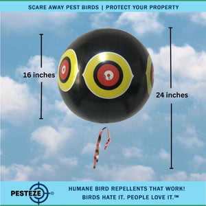 PESTEZE® Large 15" Black Bird Scare-Eye Balloon Decoy [1 Pack]  Deters Unwanted Pest Birds like Pigeons, Gulls, Geese & Critters from Pools & Yards Without Harming Them To Protect Property