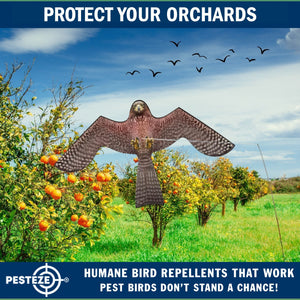 PESTEZE® Flying Hawk 54 x 30 Inch Kite Bird Scarer with 13 ft Flagpole. Use in Yards & Farms to Protect Vegetables, Fruits, Crops & Buildings from Pest Birds & Critters without Harming them