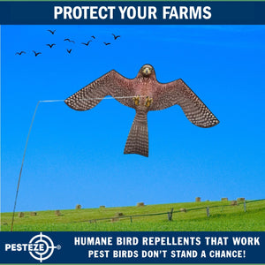 PESTEZE® Flying Hawk 54 x 30 Inch Kite Bird Scarer with 13 ft Flagpole. Use in Yards & Farms to Protect Vegetables, Fruits, Crops & Buildings from Pest Birds & Critters without Harming them
