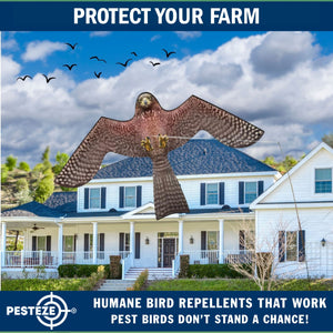 PESTEZE® Flying Hawk 54 x 30 Inch Kite Bird Scarer with 13 ft Flagpole. Use in Yards & Farms to Protect Vegetables, Fruits, Crops & Buildings from Pest Birds & Critters without Harming them