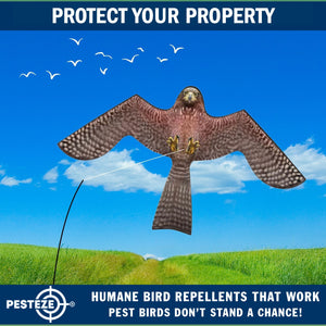 PESTEZE® Flying Hawk 54 x 30 Inch Kite Bird Scarer with 13 ft Flagpole. Use in Yards & Farms to Protect Vegetables, Fruits, Crops & Buildings from Pest Birds & Critters without Harming them