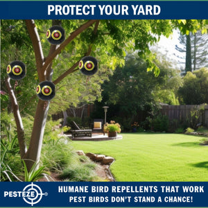 PESTEZE® Large 15" Black Bird Scare-Eye Balloon Decoy [1 Pack]  Deters Unwanted Pest Birds like Pigeons, Gulls, Geese & Critters from Pools & Yards Without Harming Them To Protect Property