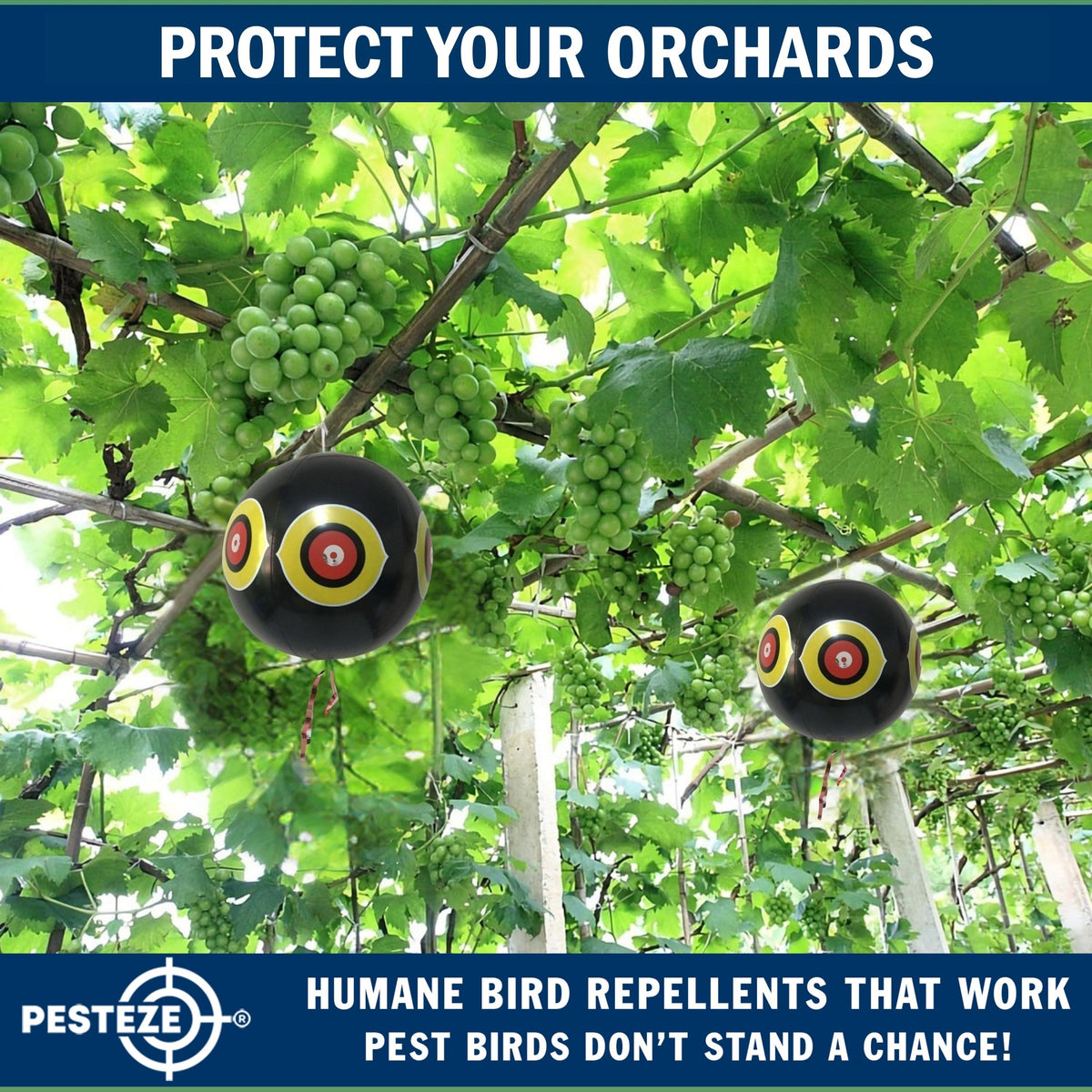 PESTEZE® USA Large 15" Black Bird Predator-Eye Balloon Decoy [3 Pack Black Color]  Deters Unwanted Pest Birds like Pigeons, Gulls, Geese & Critters from Pools & Yards Without Harming Them To Protect Property