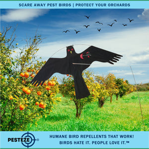 PESTEZE® Black Flying Hawk 46 x 26 Inch Kite Bird Deterrent with 13 ft Flagpole. Use in Yards & Farms to Protect Vegetables, Fruits, Crops & Property from Pest Birds & Critters without Harming them