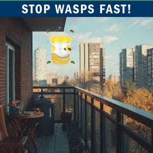 2 Pack PESTEZE® Reusable Solar Hanging Wasp Trap with LED Light [Yellow: 3.5 X 4.4 Inch] Attracts, Catches & Kills Wasp, Hornet, Yellow Jacket & Insect Species 24/7 without Harsh Chemicals. Waterproof