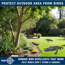 PESTEZE® 49 Inch Realistic Inflatable Alligator [1 Pack] Scares Pest Birds like Woodpeckers, Sparrows, Pigeons, Crows, Gulls & Critters from Pools & Yards without Harming them to Protect Property