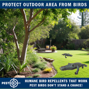 PESTEZE® 49 Inch Realistic Inflatable Alligator [1 Pack] Scares Pest Birds like Woodpeckers, Sparrows, Pigeons, Crows, Gulls & Critters from Pools & Yards without Harming them to Protect Property