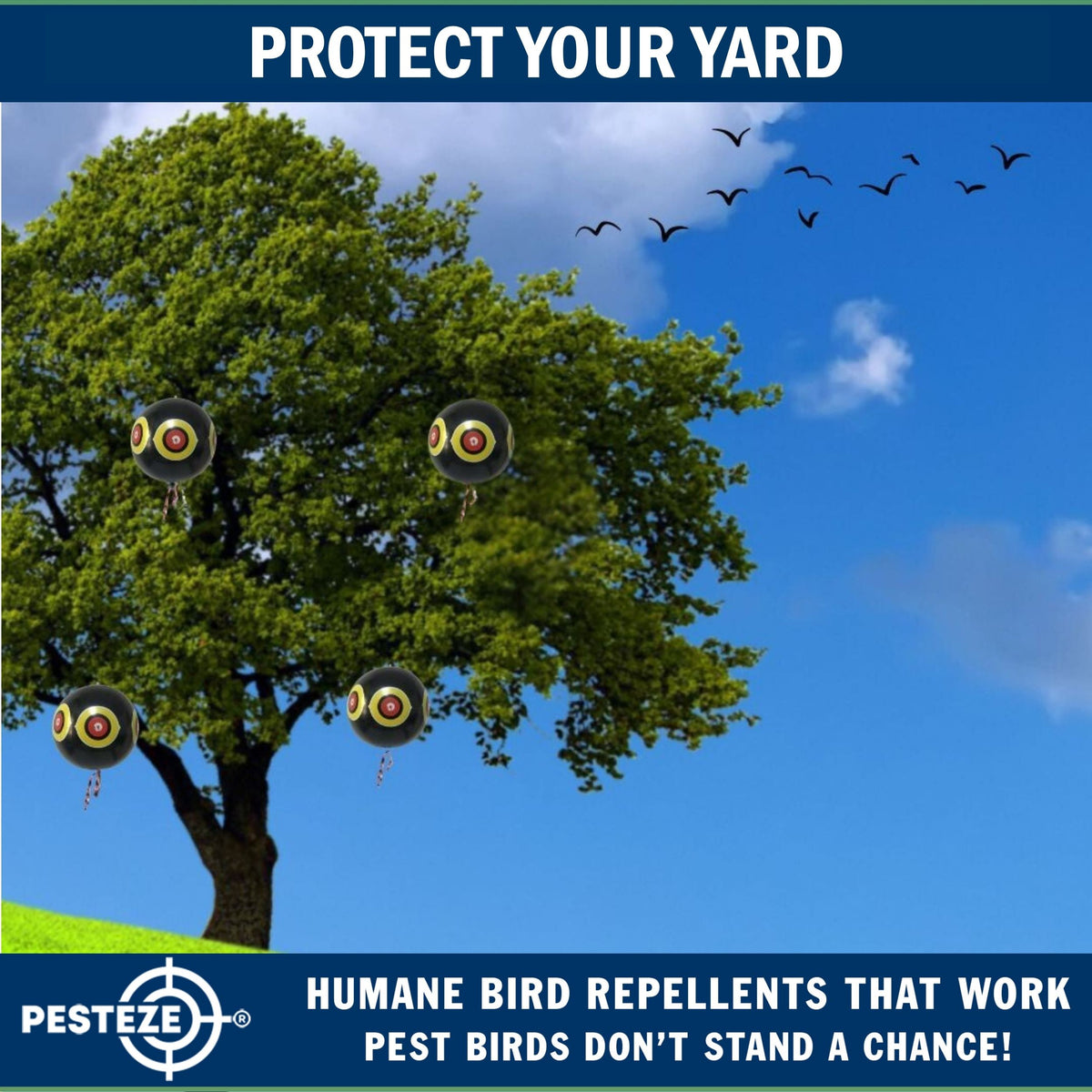 PESTEZE® USA Large 15" Black Bird Predator-Eye Balloon Decoy [3 Pack Black Color]  Deters Unwanted Pest Birds like Pigeons, Gulls, Geese & Critters from Pools & Yards Without Harming Them To Protect Property