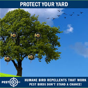 PESTEZE® USA Large 15" Black Bird Predator-Eye Balloon Decoy [3 Pack Black Color]  Deters Unwanted Pest Birds like Pigeons, Gulls, Geese & Critters from Pools & Yards Without Harming Them To Protect Property