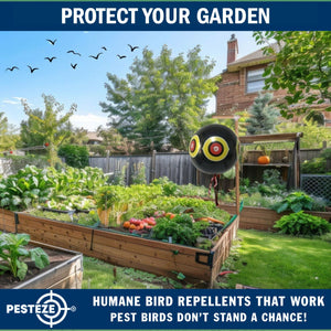 PESTEZE® Large 15" Black Bird Scare-Eye Balloon Decoy [1 Pack]  Deters Unwanted Pest Birds like Pigeons, Gulls, Geese & Critters from Pools & Yards Without Harming Them To Protect Property
