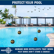 PESTEZE® USA Large 15" Black Bird Predator-Eye Balloon Decoy [3 Pack Black Color]  Deters Unwanted Pest Birds like Pigeons, Gulls, Geese & Critters from Pools & Yards Without Harming Them To Protect Property