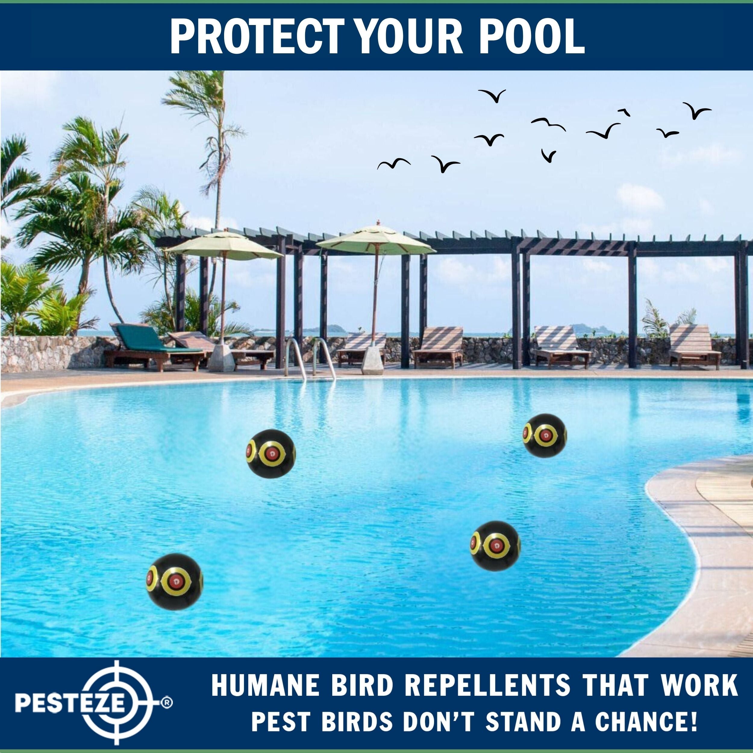 PESTEZE® USA Large 15" Black Bird Predator-Eye Balloon Decoy [3 Pack Black Color]  Deters Unwanted Pest Birds like Pigeons, Gulls, Geese & Critters from Pools & Yards Without Harming Them To Protect Property