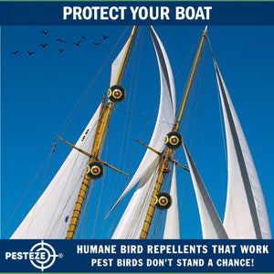 PESTEZE® Large 15" Black Bird Scare-Eye Balloon Decoy [1 Pack]  Deters Unwanted Pest Birds like Pigeons, Gulls, Geese & Critters from Pools & Yards Without Harming Them To Protect Property