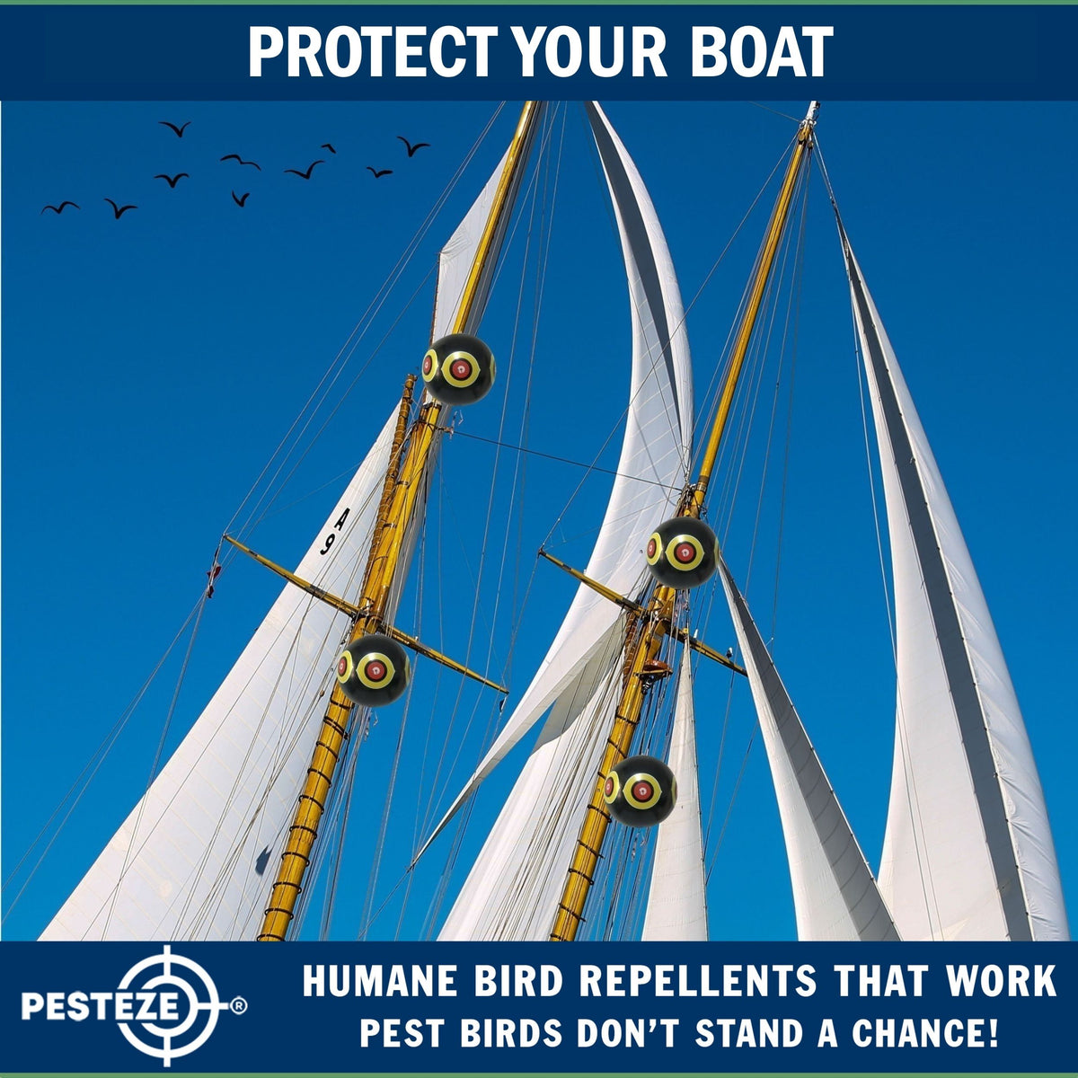 PESTEZE® USA Large 15" Black Bird Predator-Eye Balloon Decoy [3 Pack Black Color]  Deters Unwanted Pest Birds like Pigeons, Gulls, Geese & Critters from Pools & Yards Without Harming Them To Protect Property