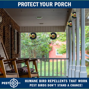 PESTEZE® Large 15" Black Bird Scare-Eye Balloon Decoy [1 Pack]  Deters Unwanted Pest Birds like Pigeons, Gulls, Geese & Critters from Pools & Yards Without Harming Them To Protect Property