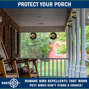 PESTEZE® USA Large 15" Black Bird Predator-Eye Balloon Decoy [3 Pack Black Color]  Deters Unwanted Pest Birds like Pigeons, Gulls, Geese & Critters from Pools & Yards Without Harming Them To Protect Property