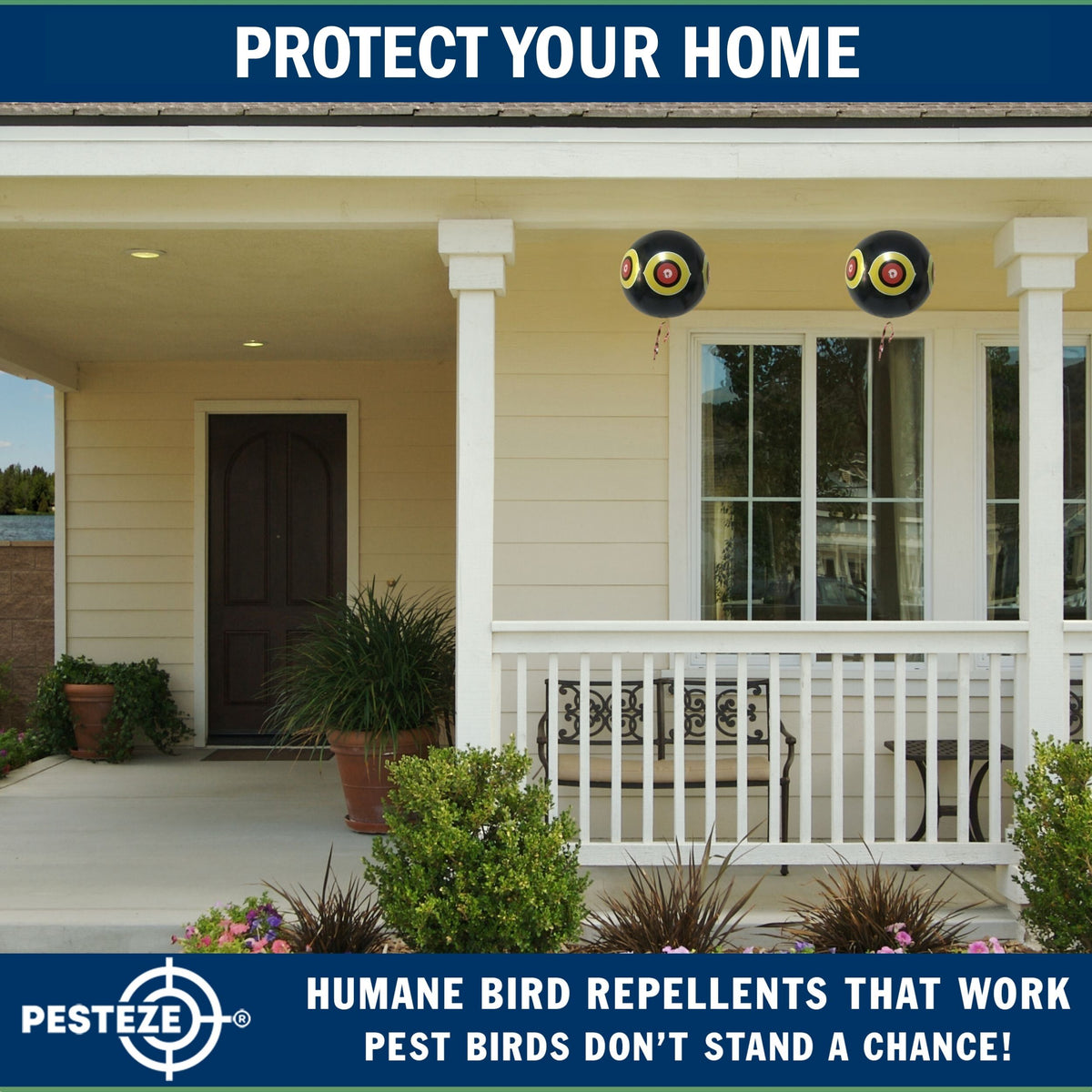 PESTEZE® USA Large 15" Black Bird Predator-Eye Balloon Decoy [3 Pack Black Color]  Deters Unwanted Pest Birds like Pigeons, Gulls, Geese & Critters from Pools & Yards Without Harming Them To Protect Property