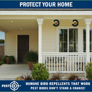 PESTEZE® USA Large 15" Black Bird Predator-Eye Balloon Decoy [3 Pack Black Color]  Deters Unwanted Pest Birds like Pigeons, Gulls, Geese & Critters from Pools & Yards Without Harming Them To Protect Property