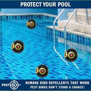 PESTEZE® Large 15" Black Bird Scare-Eye Balloon Decoy [1 Pack]  Deters Unwanted Pest Birds like Pigeons, Gulls, Geese & Critters from Pools & Yards Without Harming Them To Protect Property