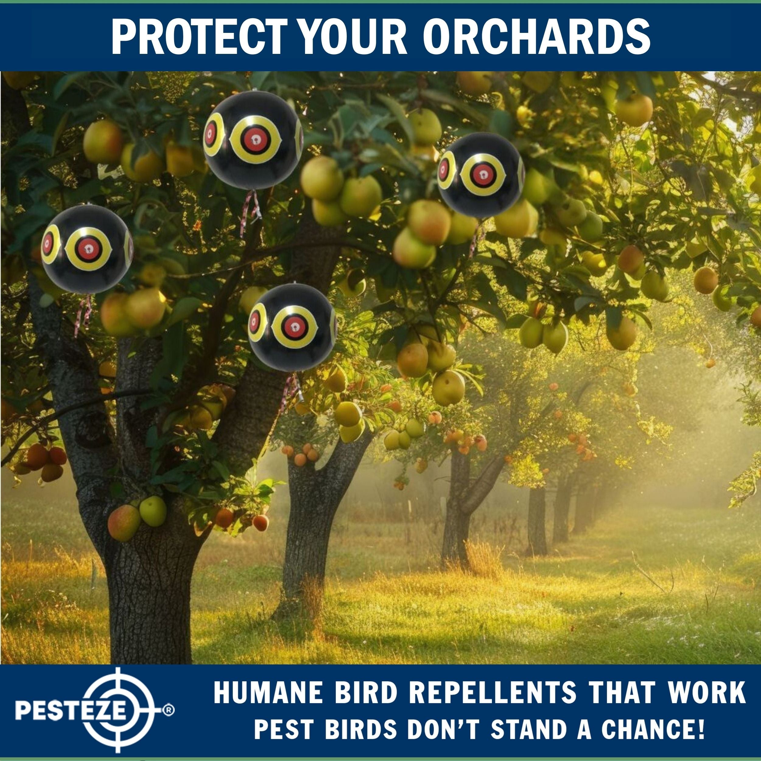 PESTEZE® Large 15" Black Bird Predator-Eye Balloon Decoy [1 Pack]  Deters Unwanted Pest Birds like Pigeons, Gulls, Geese & Critters from Pools & Yards Without Harming Them To Protect Property