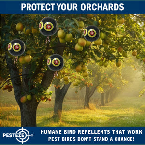 PESTEZE® Large 15" Black Bird Scare-Eye Balloon Decoy [1 Pack]  Deters Unwanted Pest Birds like Pigeons, Gulls, Geese & Critters from Pools & Yards Without Harming Them To Protect Property