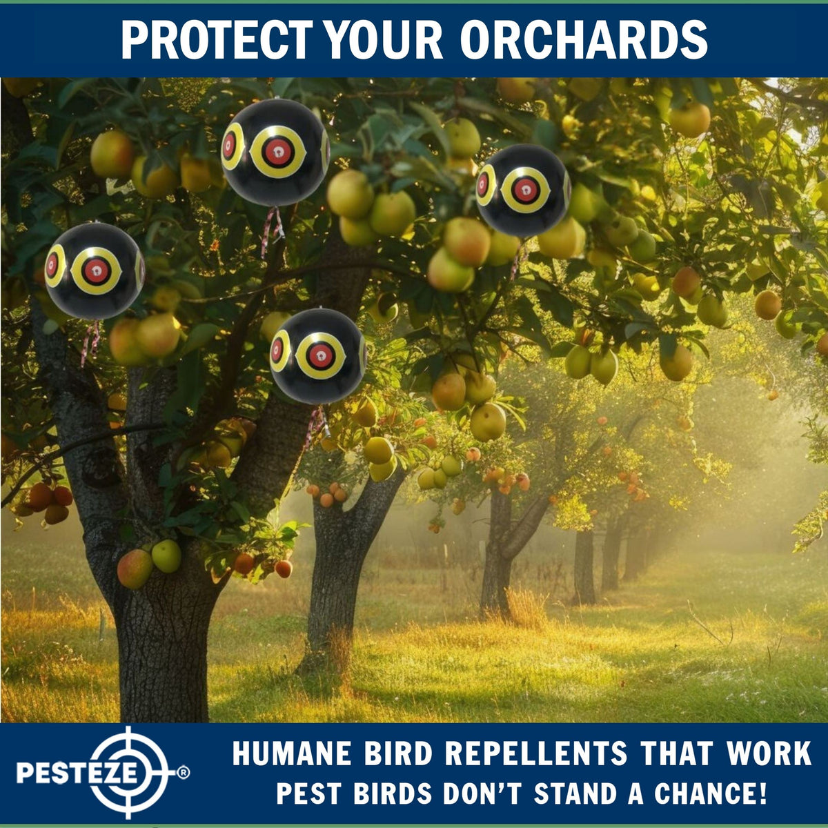 PESTEZE® USA Large 15" Black Bird Predator-Eye Balloon Decoy [3 Pack Black Color]  Deters Unwanted Pest Birds like Pigeons, Gulls, Geese & Critters from Pools & Yards Without Harming Them To Protect Property