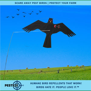 PESTEZE® Black Flying Hawk 46 x 26 Inch Kite Bird Deterrent with 13 ft Flagpole. Use in Yards & Farms to Protect Vegetables, Fruits, Crops & Property from Pest Birds & Critters without Harming them