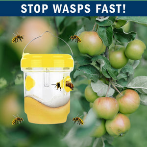 2 Pack PESTEZE® Reusable Solar Hanging Wasp Trap with LED Light [Yellow: 3.5 X 4.4 Inch] Attracts, Catches & Kills Wasp, Hornet, Yellow Jacket & Insect Species 24/7 without Harsh Chemicals. Waterproof
