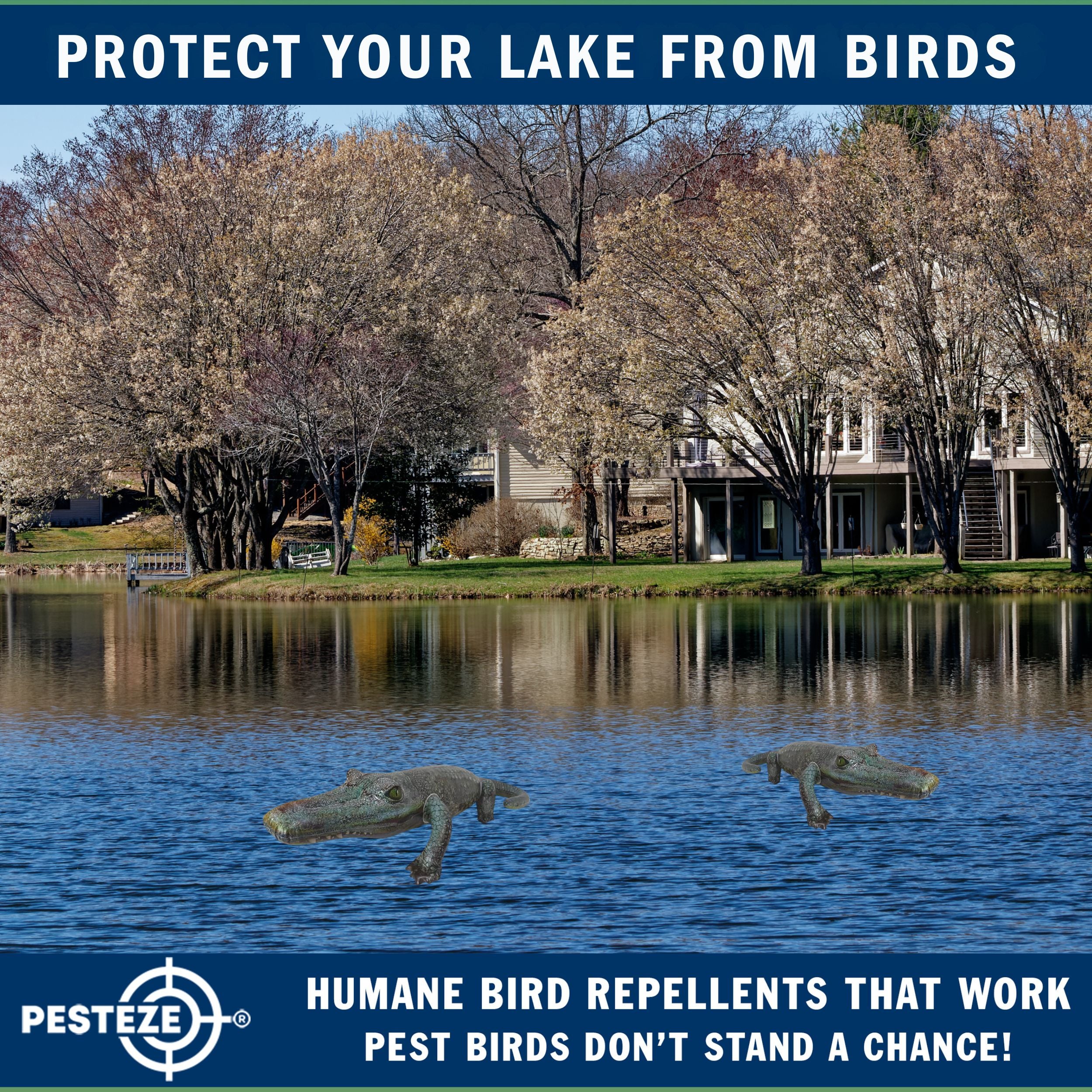 PESTEZE® 49 Inch Realistic Inflatable Alligator [1 Pack] Scares Pest Birds like Woodpeckers, Sparrows, Pigeons, Crows, Gulls & Critters from Pools & Yards without Harming them to Protect Property