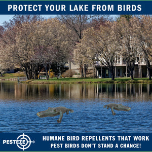PESTEZE® 49 Inch Realistic Inflatable Alligator [1 Pack] Scares Pest Birds like Woodpeckers, Sparrows, Pigeons, Crows, Gulls & Critters from Pools & Yards without Harming them to Protect Property