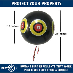 PESTEZE® Large 15" Black Bird Scare-Eye Balloon Decoy [1 Pack]  Deters Unwanted Pest Birds like Pigeons, Gulls, Geese & Critters from Pools & Yards Without Harming Them To Protect Property