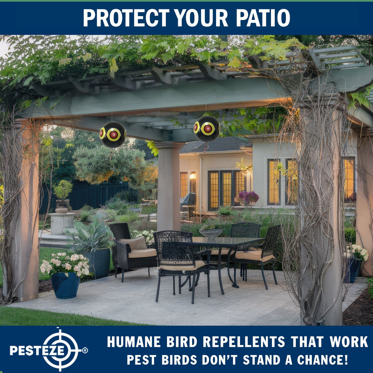 PESTEZE® USA Large 15" Black Bird Predator-Eye Balloon Decoy [3 Pack Black Color]  Deters Unwanted Pest Birds like Pigeons, Gulls, Geese & Critters from Pools & Yards Without Harming Them To Protect Property