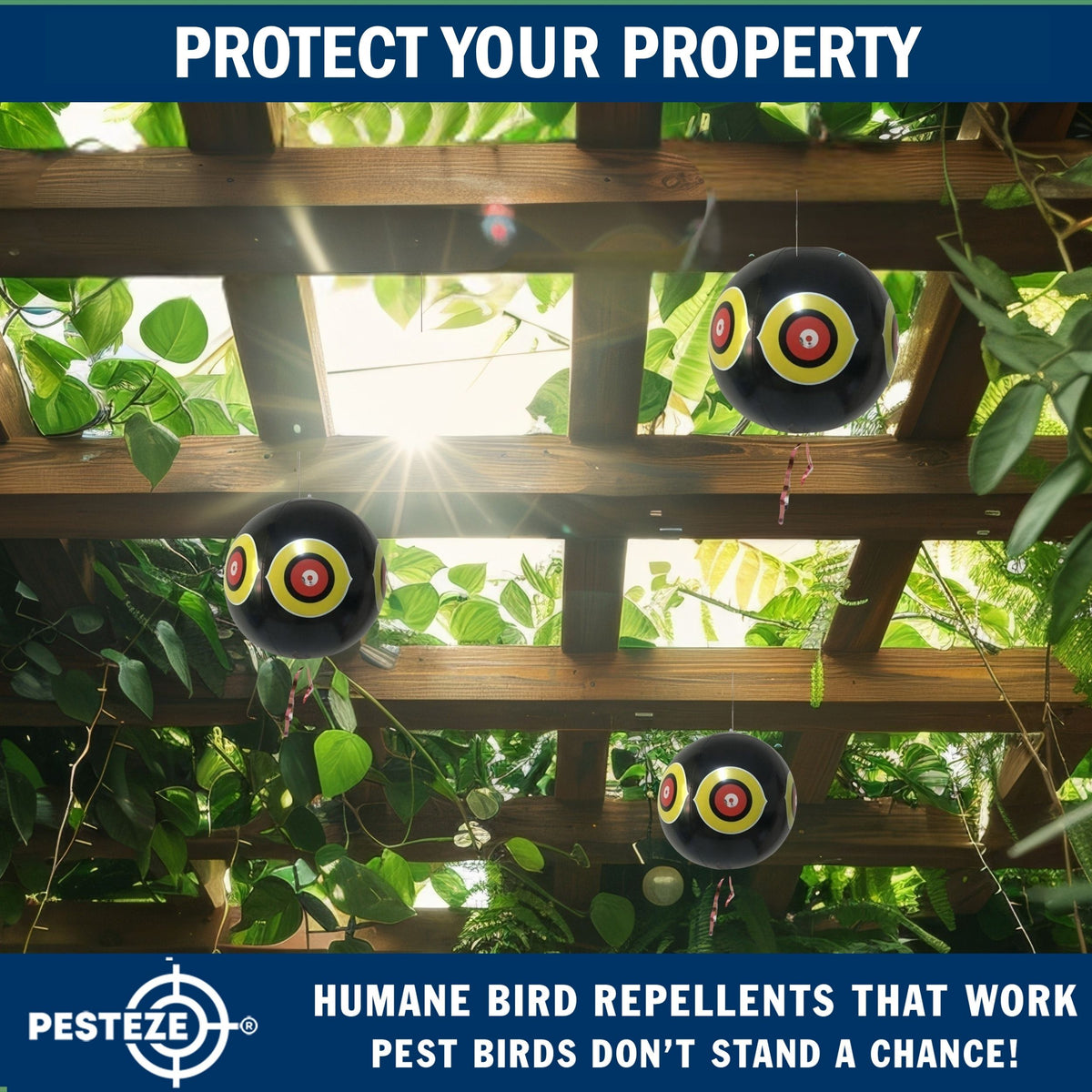 PESTEZE® USA Large 15" Black Bird Predator-Eye Balloon Decoy [3 Pack Black Color]  Deters Unwanted Pest Birds like Pigeons, Gulls, Geese & Critters from Pools & Yards Without Harming Them To Protect Property