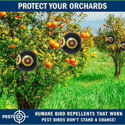PESTEZE® Large 15" Black Bird Predator-Eye Balloon Decoy [1 Pack]  Deters Unwanted Pest Birds like Pigeons, Gulls, Geese & Critters from Pools & Yards Without Harming Them To Protect Property
