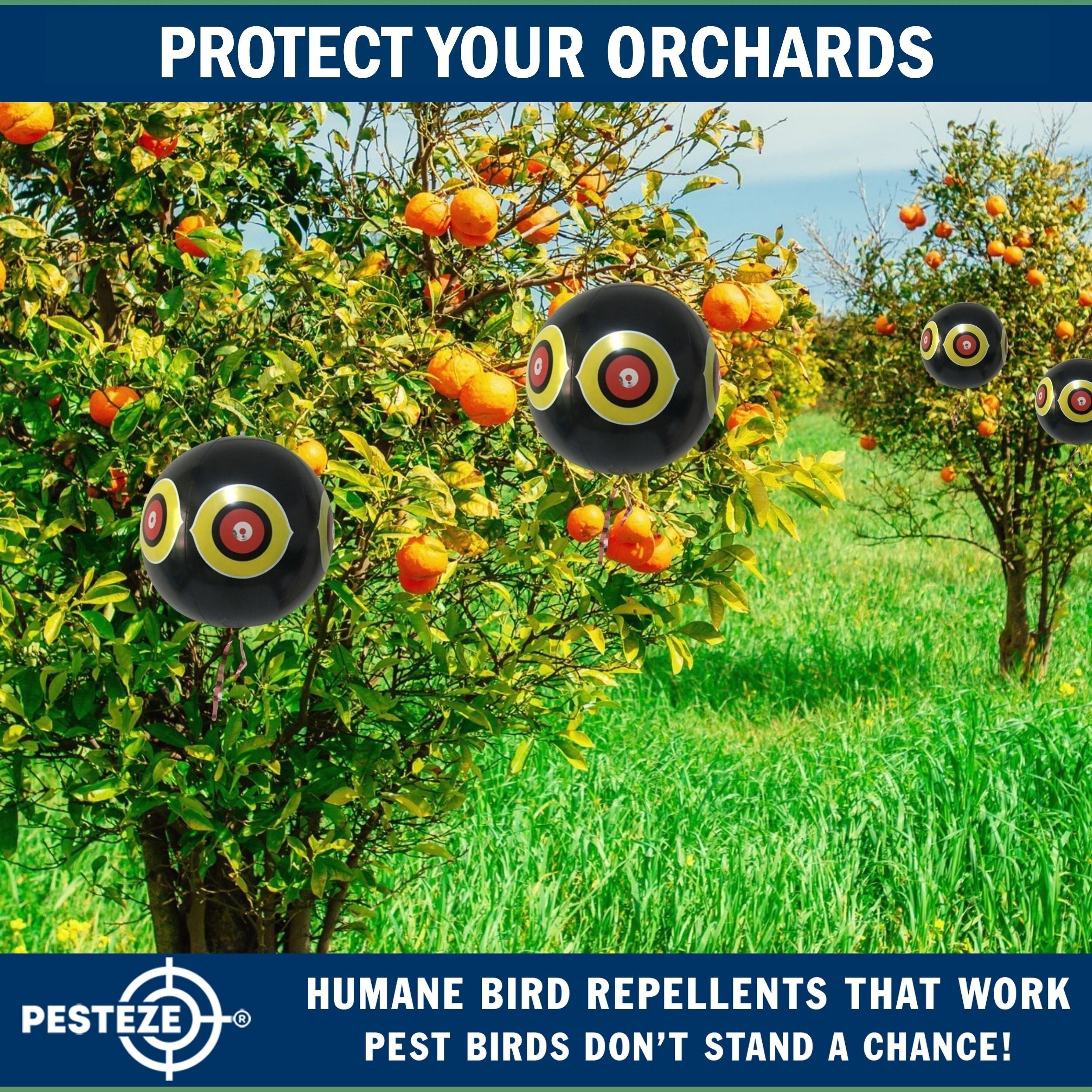 PESTEZE® Large 15" Black Bird Predator-Eye Balloon Decoy [1 Pack]  Deters Unwanted Pest Birds like Pigeons, Gulls, Geese & Critters from Pools & Yards Without Harming Them To Protect Property